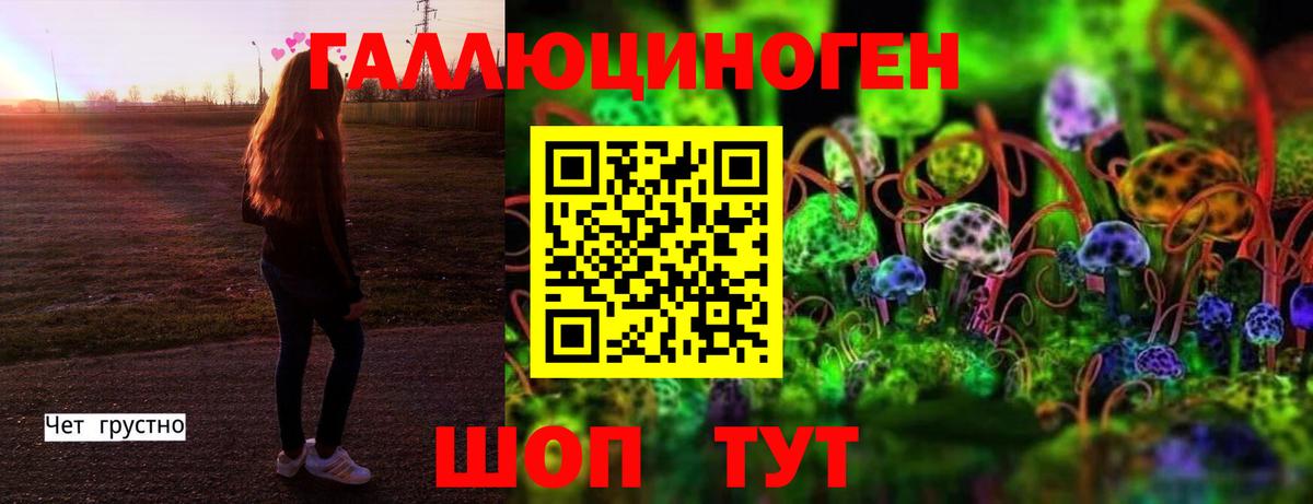Полевской  Галлюциногенные грибы Cubensis  Псилоцибиновые грибы Psilocybine cubensis  Вход с VPN 